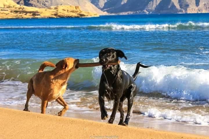 Hotel Palomares Beach エクステリア 写真
